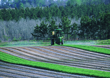 Agricultural Pesticides