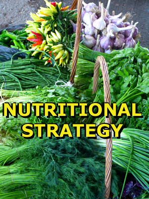Nutritional Strategy